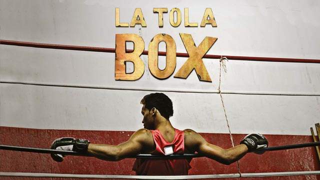 La Tola Box