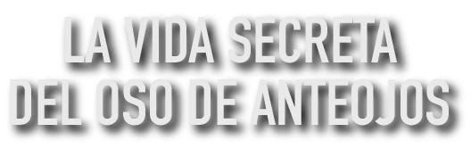 La vida secreta del oso de anteojos