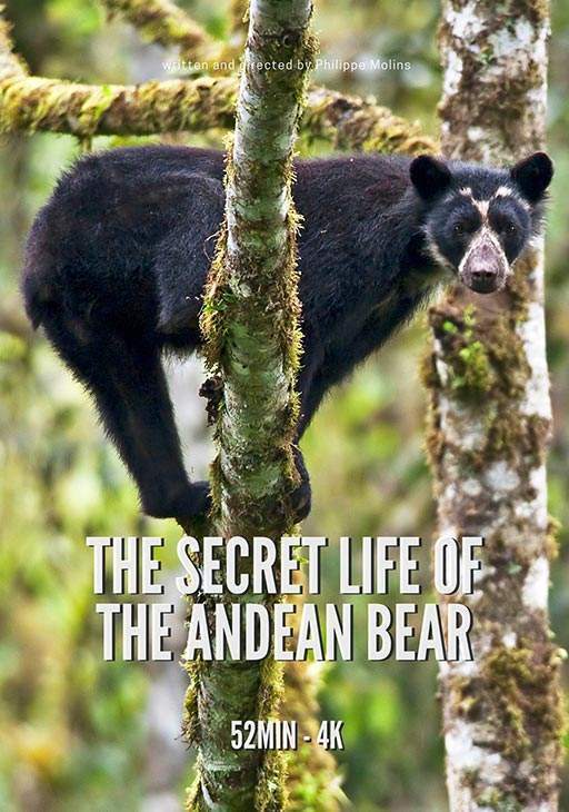 La Vida Secreta del Oso de Anteojo