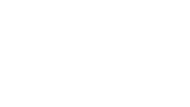 Lo que hizo Luna