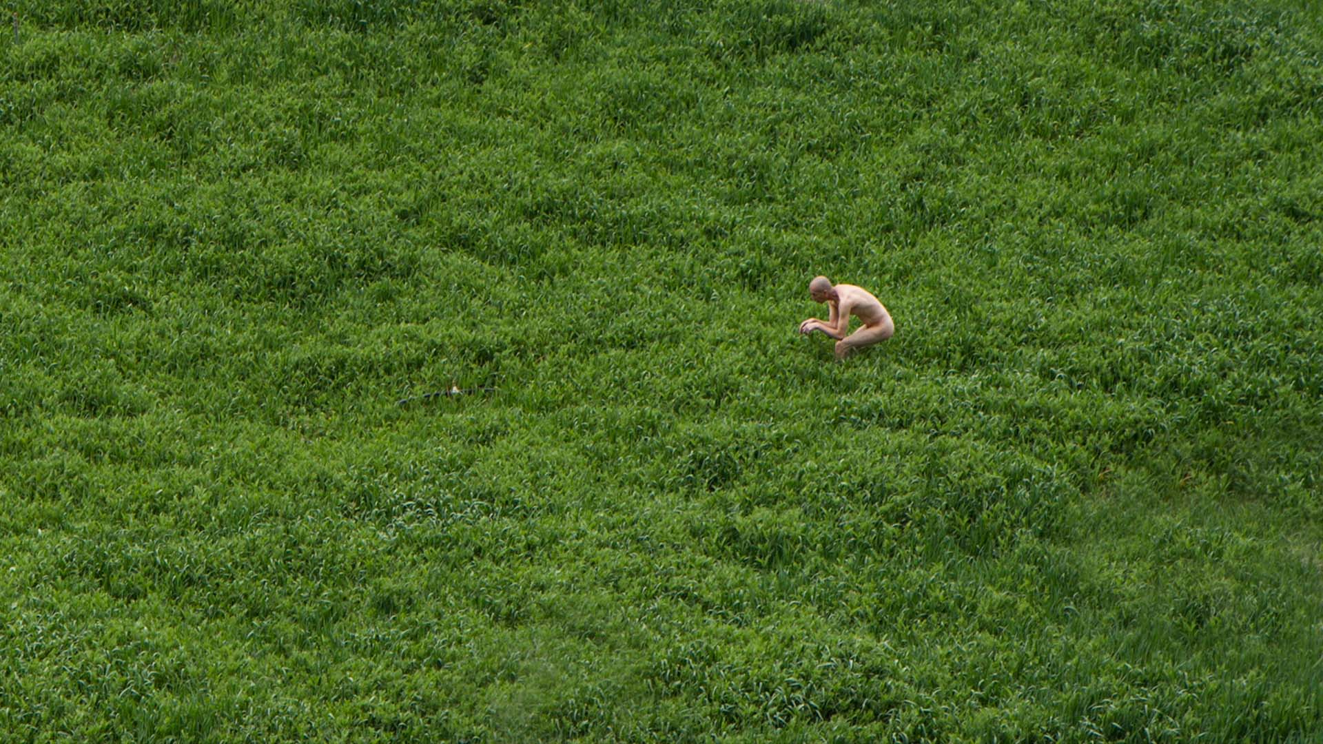 La danza del niño maestro